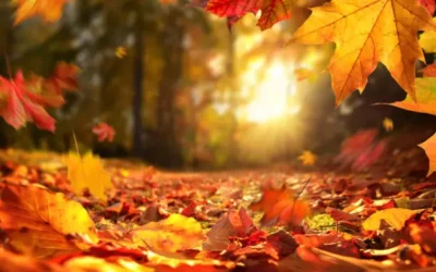 PRIČA JESENSKOG ŠEŠIRA– kreativni PROJEKT naših petaša