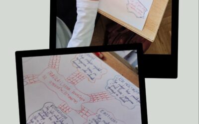 #DAN SIGURNIJEG INTERNETA