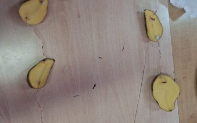 Istraživačko učenje o struji, izumiteljima i održivosti u školi