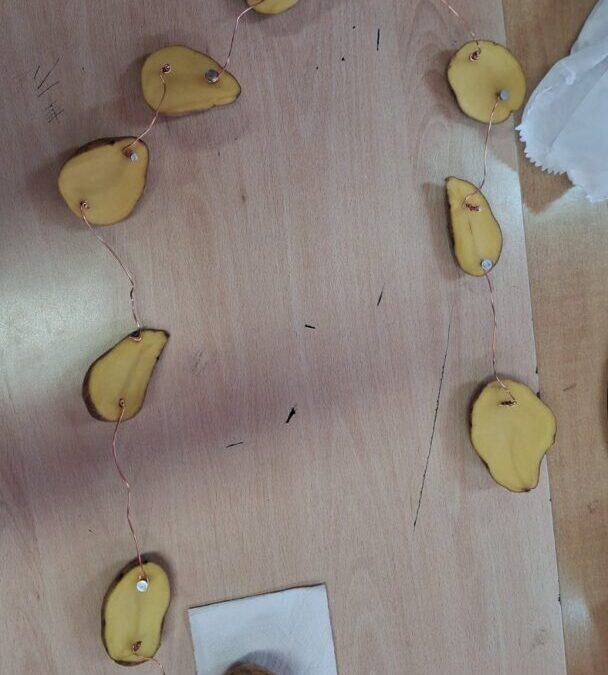 Istraživačko učenje o struji, izumiteljima i održivosti u školi