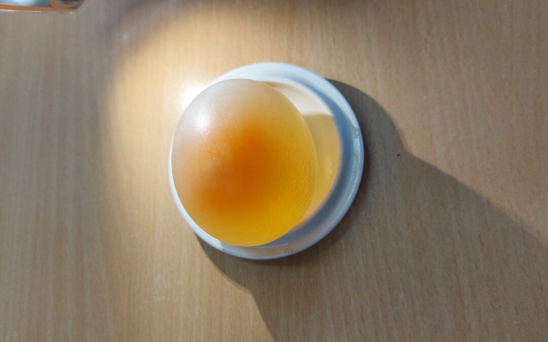 Mladi istraživači u 4.c