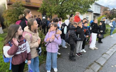 Terenska nastava učenika 3.c i 3.d razreda